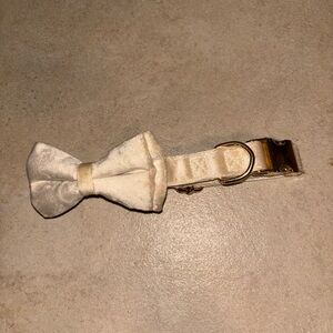 NIB Velvet Cream Bow Tie Dog Collar